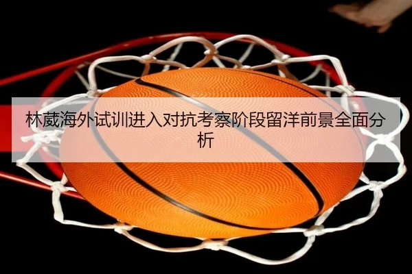 林葳海外试训进入对抗考察阶段留洋前景全面分析（PINBO.COMapp）